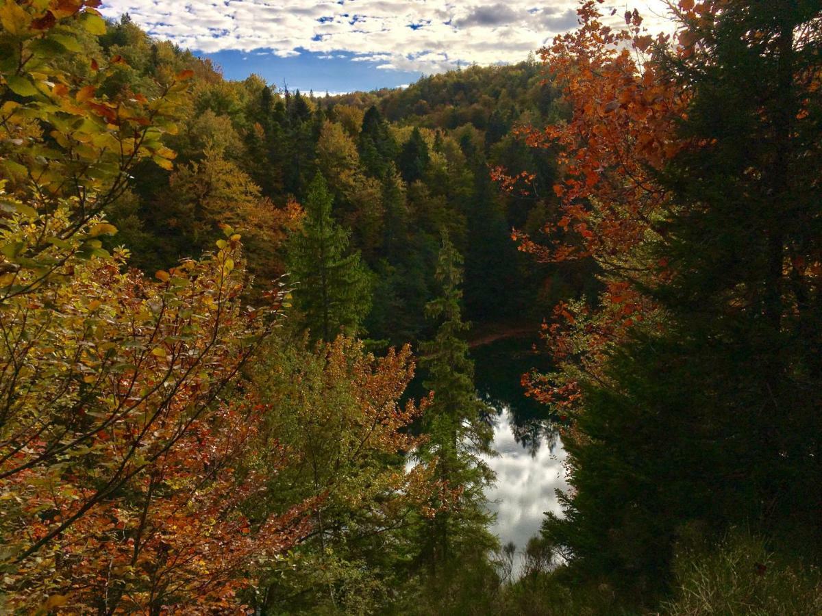 House By The River Plitvica selo Exteriör bild