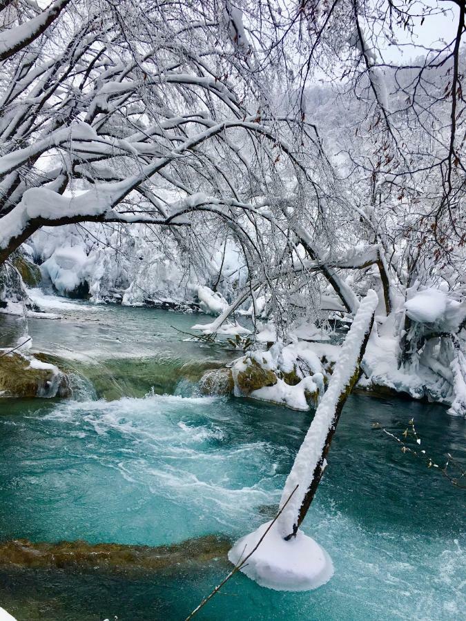 House By The River Plitvica selo Exteriör bild